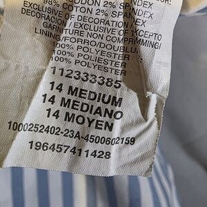 Lee Blue and White Striped Skirt